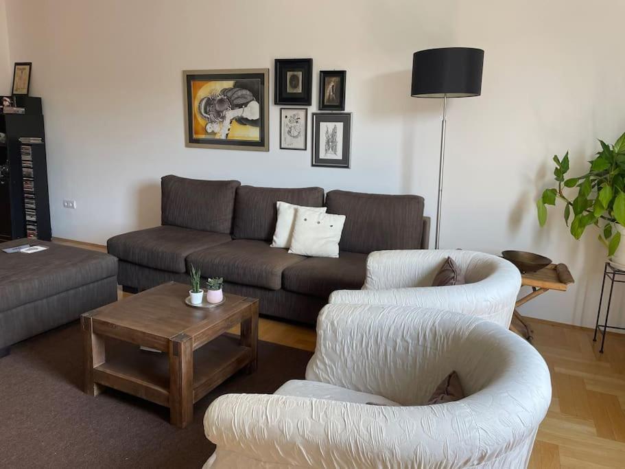 Spacious 3Br/2Bt Apartment With A/C In City Center Záhřeb Exteriér fotografie