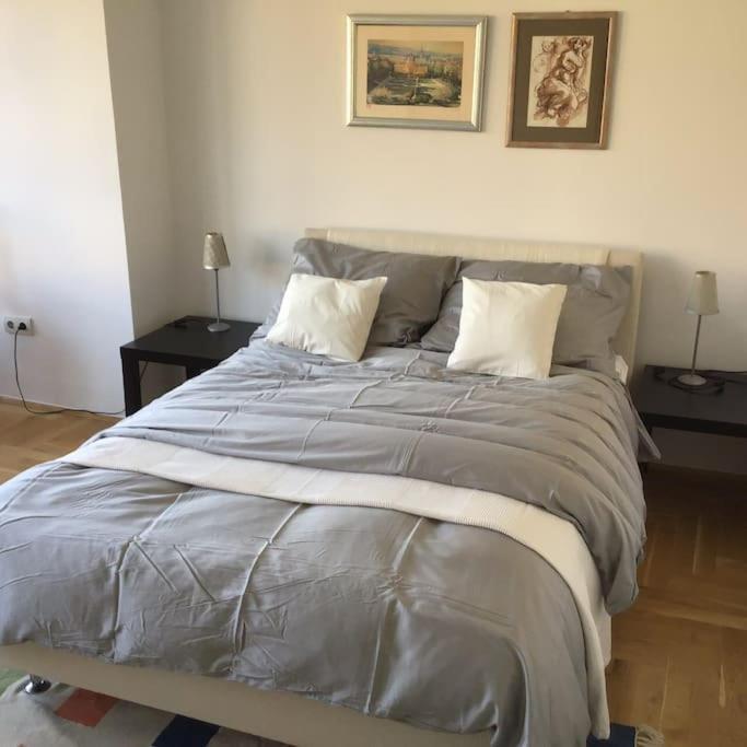 Spacious 3Br/2Bt Apartment With A/C In City Center Záhřeb Exteriér fotografie