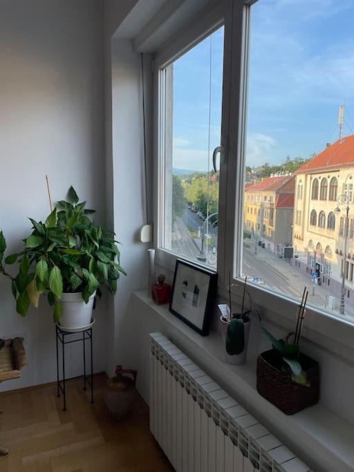 Spacious 3Br/2Bt Apartment With A/C In City Center Záhřeb Exteriér fotografie